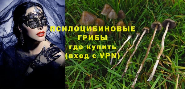 экстази Алексеевка